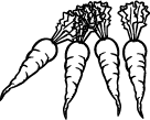 Möhren
